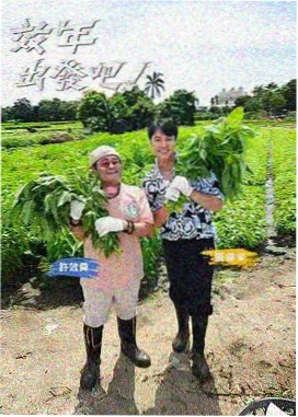 白鹿电视剧 都市星光 情感戏